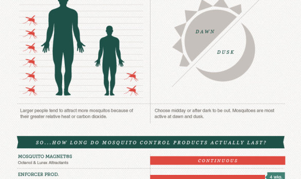 Alltop - Are You A Mosquito Magnet?