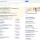 How to Use Census Data to Improve Local SEO